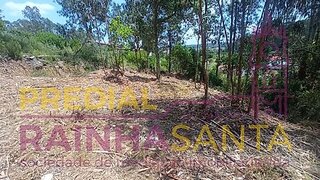 Terreno de 3850 m² em Coimbra