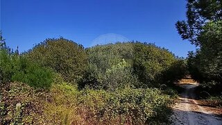 Land for sale in Benavente, Portugal — €126,500