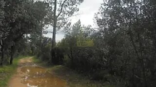 Land for sale in Alcanena, Portugal — €17,000
