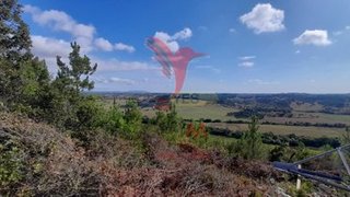 Land for sale in Santarém, Portugal — €318,450