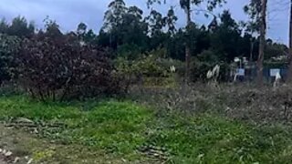 Land for sale in Vila Nova de Gaia, Portugal — €90,000