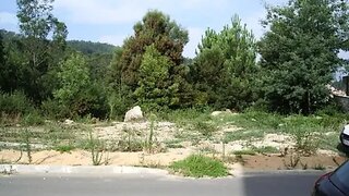 Land for sale in Sever do Vouga, Portugal — €21,500