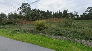 Terreno em Oliveira de Azeméis · 8000 m² · 219 000 €