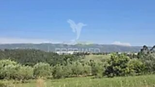 Land for sale in Alcobaça, Portugal — €35,000