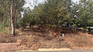 Land for sale in Águeda, Portugal — €49,000