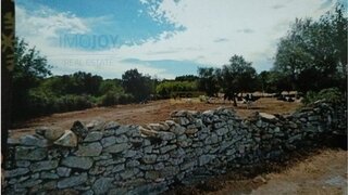 Terreno de 4600 m² em Almeida