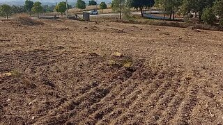 Land for sale in Tomar, Portugal — €125,000