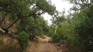 Land for sale in Santiago do Cacém, Portugal — €350,000