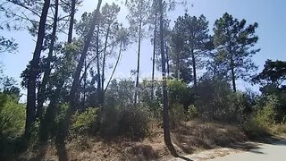 Land for sale in Tomar, Portugal — €36,000