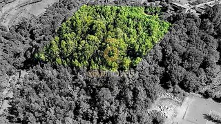 Terreno para venda em Cinfães, Portugal — 46 000 €