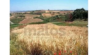 Land for sale in Lourinhã, Portugal — €50,000