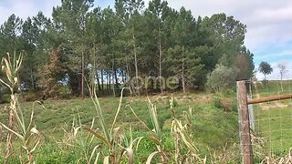 Land for sale in Cartaxo, Portugal — €60,000