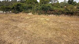 Land for sale in Oliveira do Bairro, Portugal — €35,000