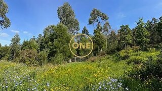 Land for sale in Vila Nova de Famalicão, Portugal — €45,000