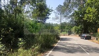 Land for sale in Sever do Vouga, Portugal — €19,500