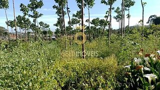Land for sale in Santa Maria da Feira, Portugal — €160,000