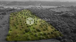 Terreno de 15 480 m² em Santarém