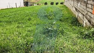 Land for sale in Águeda, Portugal — €40,000