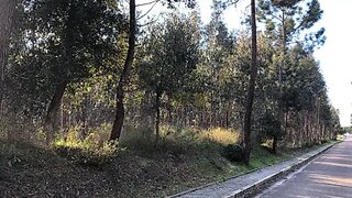 Land for sale in Rio Maior, Portugal — €115,000