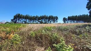 Land for sale in Ílhavo, Portugal — €220,000