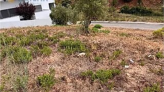 Terreno em Vila Franca de Xira · 916 m² · 81 200 €