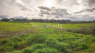 Land for sale in Elvas, Portugal — €160,000