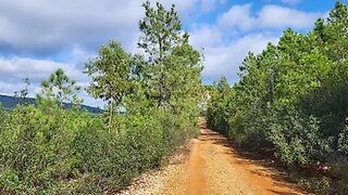 Land for sale in Idanha-a-Nova, Portugal — €13,000
