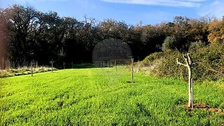 Land for sale in Tomar, Portugal — €25,000
