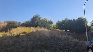 Land for sale in Torres Novas, Portugal — €350,000