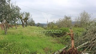 Land for sale in Alvaiázere, Portugal — €45,000