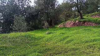Land for sale in Tavira, Portugal — €215,000