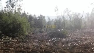 Terreno em Santo Tirso · 6400 m² · 43 000 €