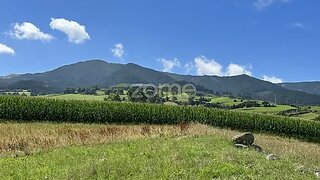 Land for sale in Nordeste, Portugal — €219,000