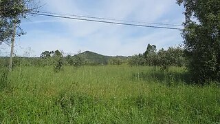 Land for sale in Penela, Portugal — €69,000