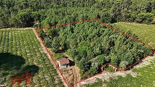 Land for sale in Nelas, Portugal — €20,000