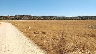 Land for sale in Silves, Portugal — €38,000