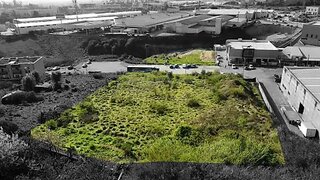 Terreno de 9050 m² em Coimbra