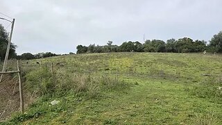 Terreno de 2644 m² em Santarém