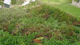 Terreno de 500 m² em Caminha