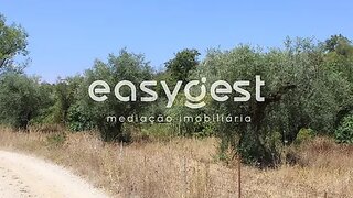 Land for sale in Tomar, Portugal — €11,000