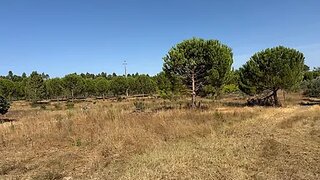 Land for sale in Montijo, Portugal — €500,000