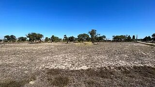 Land for sale in Salvaterra de Magos, Portugal — €55,000