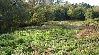 Terreno de 4925 m² em Viana do Castelo