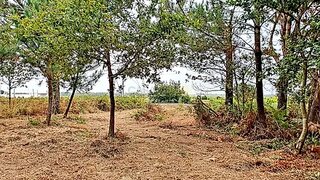 Terreno em Viana do Castelo · 2483 m² · 180 000 €