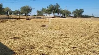 Terreno para venda em Mourão, Portugal — 25 000 €