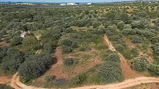 Land for sale in Torres Novas, Portugal — €10,000