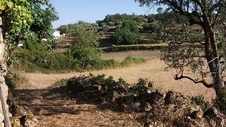 Land for sale in Penela, Portugal — €20,000