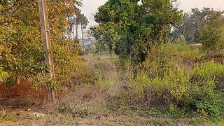 Land for sale in Pombal, Portugal — €70,000