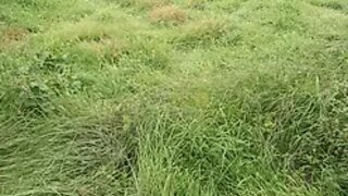 Land for sale in Oliveira do Bairro, Portugal — €81,000