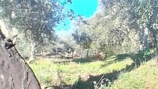 Grond · 89.250 m² · € 30.000